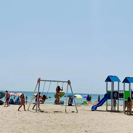 Old Port La Marina - Sole