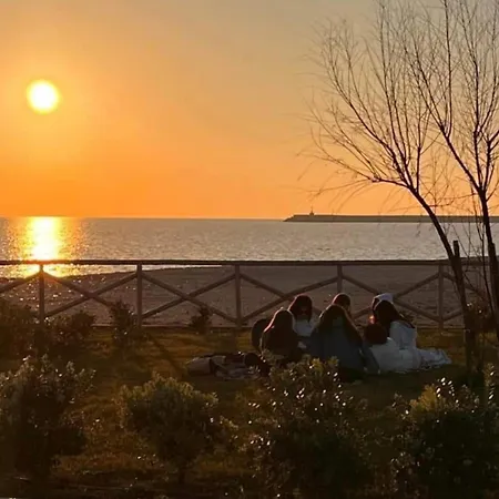 Old Port La Marina - Sole *